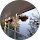 Yi Yu  profile picture